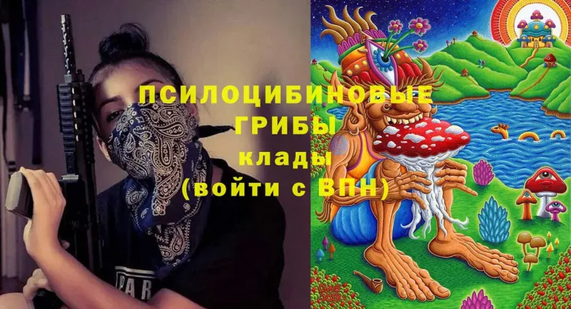 наркошоп  Уяр  Галлюциногенные грибы Psilocybe 